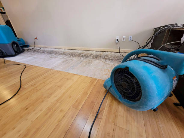 Professional Water Removal technician working in Bailey, TX